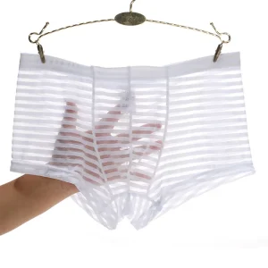 10 Colors Men’s Sexy Mesh Breathable Nude Briefs Low Rise Boy Cool Transparent Pack Adult Underwear