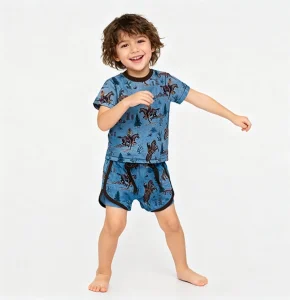 All Seasons 2 Piece Kids Sets Skin Friendly Boys Summer Bamboo Viscose Child Tracksuit Set Pajamas Kids Clothing Summer Set