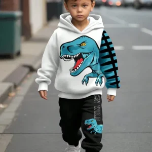 Autumn Fashion Kids Hoodies Set Boys Two Piece for Baby Hooded Sweatshirt and Loose Casual Pants with 3D Pattern