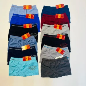 Autumn Men’s Boys Mid Rise Knitted ODM Quick Drying Stretchable Nylon Boxers Breathable Lightweight Comfortable Underwear