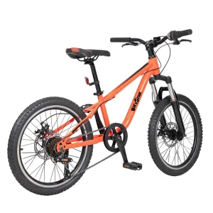 BICYSTAR 14 18 20 Inch Student Bisicleta Children Cycle Kids Bicycles Sport Unisex Mountain Bike for 8 9 Years Old Boy
