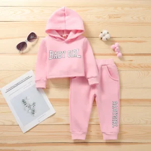 Baby Girls Kids Clothing Set Two Piece Toddler Girls Tracksuit Sweatsuit Set Pink Hoodie Jogger Sets Kids Lounge Clothes