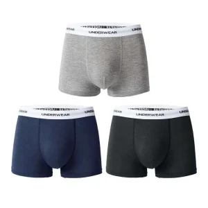Boy Comfortable Cotton Underwear Custom Design Printing Logo Shorts Men’s Solid Briefs Pack Seamless Boxers Underwear