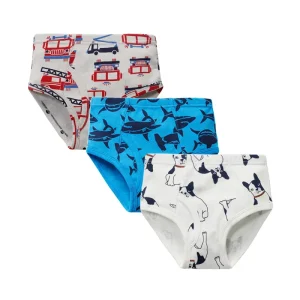 Boy Underwear 100 % Cotton Teen Boy Brief Boy Underwear RTKS-004