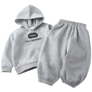 Children’s Fleece Leisure Sweatshirt Set Autumn Winter New Boys’ Thickened Girls’ Hooded Sweatpants Clothing