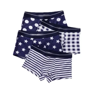 Comfortable Boy Panties Underwear for Men