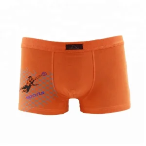 Custom Printed Boxer Underwear for Kids Teen Boys Boxer Brief Shorts