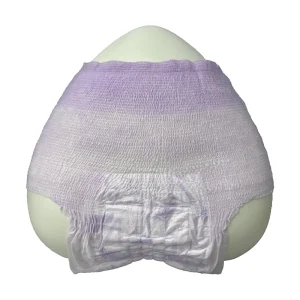 Free Samples Four Layer Leak Proof Breathable Menstrual Underwear for Teenage Girls Built in Sanitary Period Panties Provide
