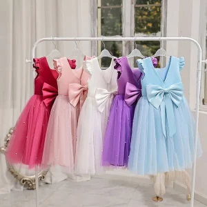 Girls Princess Dress Puffy Dress Flower Girl Gown Children’s Clothing Little Girl Dress