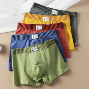 High Quality 5 Pack Teenage Boys Briefs Shorts Cotton Kids Boys Underwear Kids Under Waer and Boxer