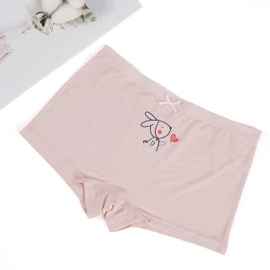 Kid Girl’s Short Girl’s Panty for Teens