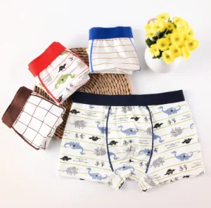Kids Boy Cute Underwear for Boys Children