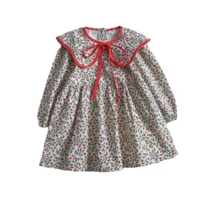 Little Girl Long Sleeved Dress Baby Breathable Fabric Girl Floral Princess Dress 6 Months