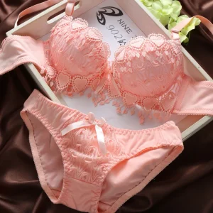 Lovely Girls Cute Japanese Lace Bra Panties Sets for Women Embroidered Underwire Push up Bra and Briefs Sexy Style