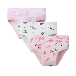 Manufacturer OEM ODM Girl Brief 3 Pack Cotton Children Underwear Factory Price Girl Panties Small Order