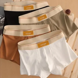 Modern Underwear for Men Popular Trendy Men’s Modern Underwear for Boy