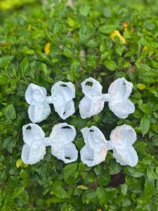 Pearl Lace Trim Silk Grosgrain Ribbon Double Layer Princess Bow Elastic Hair Ties Sweet Lolita Style Kids Hair Carton