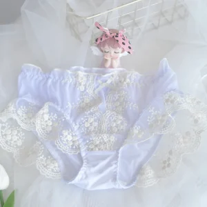 Sexy Daily Silk & Cotton Panties for Women Breathable Underwear with Lace Transparent Knitted Panties for Girls