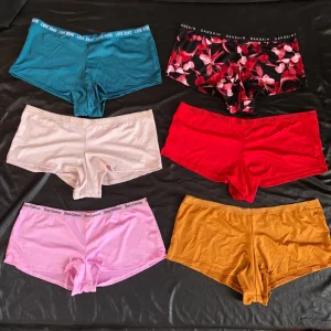 Sexy Lace Ladies Underwear Modal Ladies Panties for Young Girl Women’s Seamless Underwear Panty