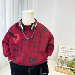 Spring Children’s Cotton Blend Soft Breathable Boys Hoodie Kids Chinese Style Ancient Poem Frog Button Top Fashion Casual