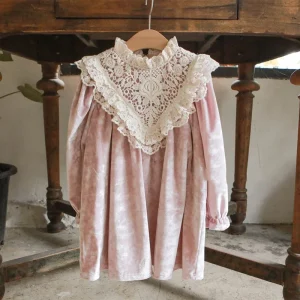 Spring and Autumn New Girl Dress, Girl Princess Lovely Velvet Lace Dress 1 7 Year Old Girl Dress