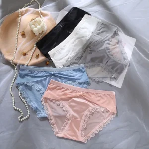 Transparent Mesh Sexy Panties Underwear for Ladies Low rise Hipster Breathable Lace Girls Panties