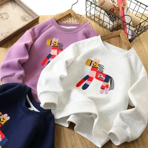 Trendy Casual Sweatshirts for Boys Autumn Sports Clothing for Teenagers and Older Children Hoodie