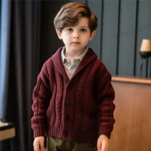 Warm European Winter Kids Boys Solid Color Knitted Patterns Cardigan Children’s Classical Sweater