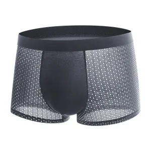 Young Middle Waist Boxers Boys Large Size Ice Silk Underwear Flat Angle Boxers